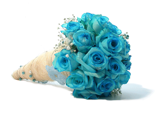 Yuki Blue(Ű)  ɹ