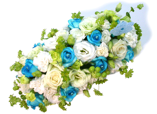 Sunny Blue()  ɹ