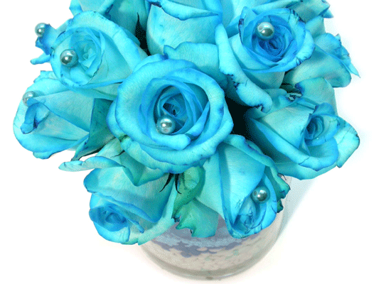 Lusy Blue()  ɹ