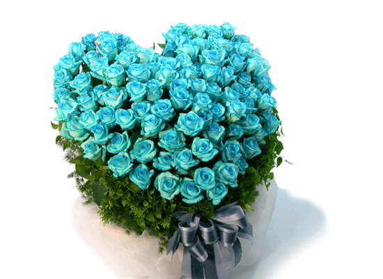 [￹] [100]Captaine Blue(ĸƾ)  ɹ