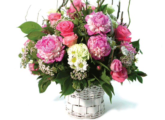 »ç¶ûÀ̶õ? - ÈâÇÑ ³¯! ²ÉÁý ²É¹è´Þ