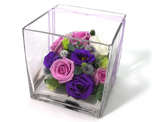   - (Rose)  ɹ