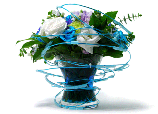 The Blue Paradise - Better shame ���� �ɹ��
