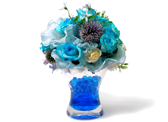 The Blue Paradise - Do you remember ���� �ɹ��