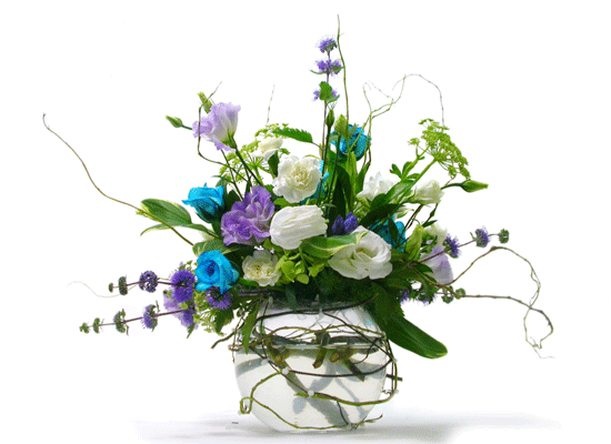 The Blue Paradise - Belle ���� �ɹ��