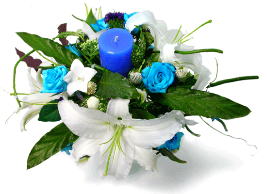 The Blue Paradise - Never know ���� �ɹ��