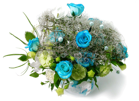 The Blue Paradise - Better together ���� �ɹ��