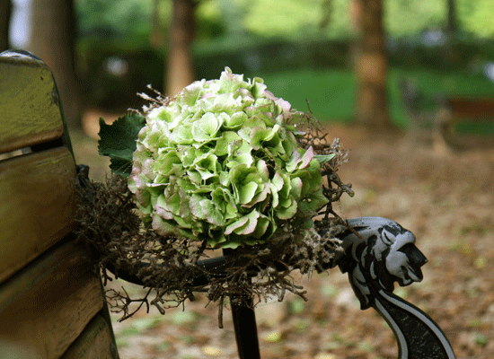 Feelingstory - �÷ζ� ���� ���� �ɹ��