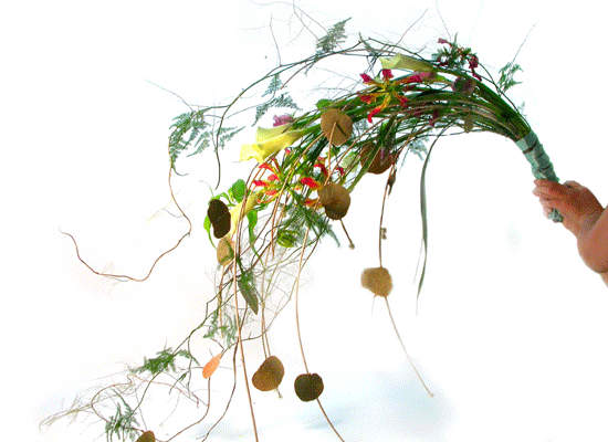 Feelingstory - ��� ���� �ɹ��