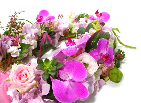 ��ȥ�ؿ� - �ູ�� ���� ���� �ɹ��