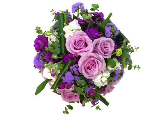 Floristic Basic - Purple(Ǽ)  ɹ
