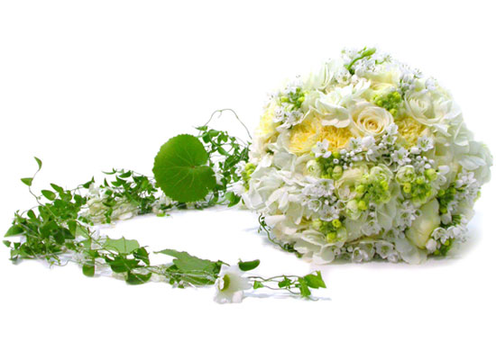 �Ͼᴫ���� ������ �ʸ� ����� ���� �ɹ��