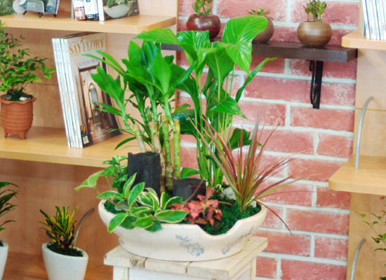 �츮�� ���� ���� �ɹ��