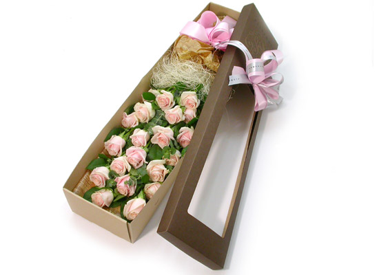 Trend box - ּҼ  ɹ