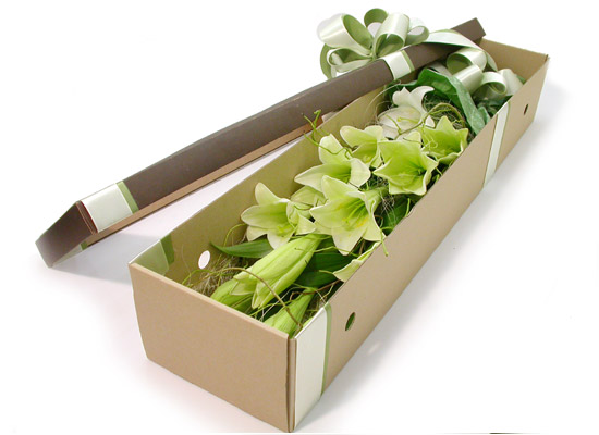 Trend box - pure story  ɹ