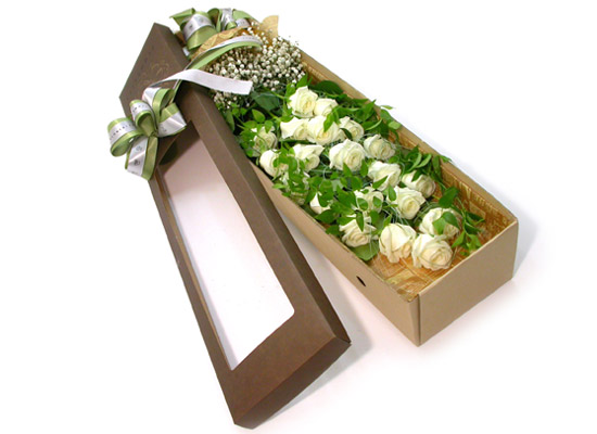 Trend box - summer party  ɹ
