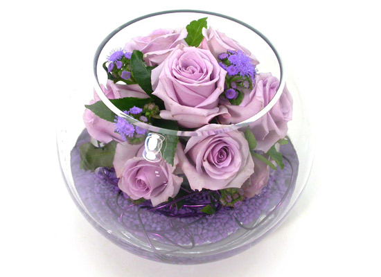 []Purple Mango  ɹ