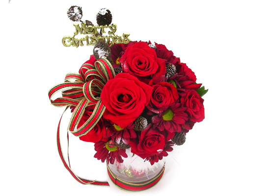 12  - Wish you  merry christmas  ɹ