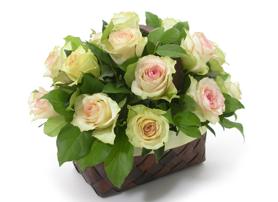 []flowery fiction -   ɹ