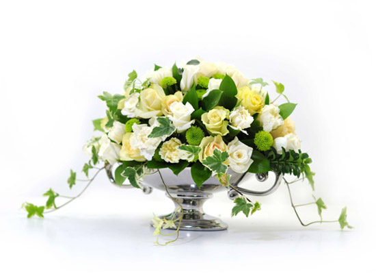 []Winter Special -  Ѵ  ɹ