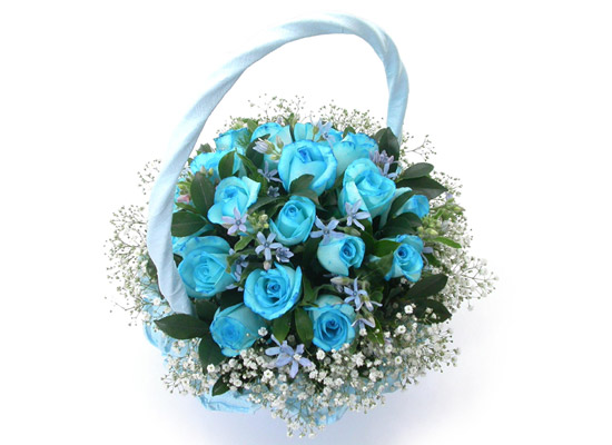 [] flowery fiction - ī  ɹ