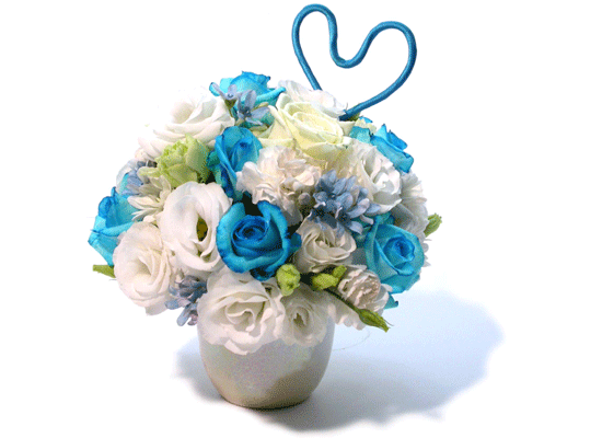 []Blue Daiana(̾Ƴ)  ɹ