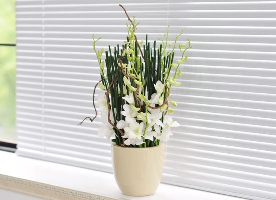 [������] Chic feminine2 - Green Sky ���� �ɹ��