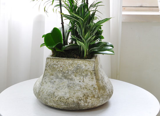 ������ ��� - ���� ȭ�⿡ ���� ȣ���� ���� �ɹ��