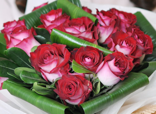 Rose & ũ����Ż ���� ���� �ɹ��