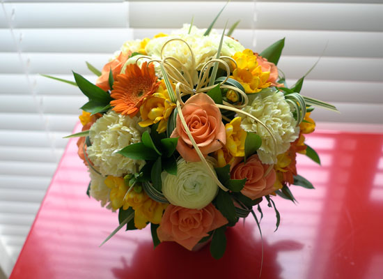 []Rose & Sunny sky  ɹ
