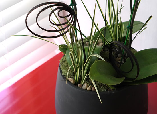 [���� ȣ����] �׸����� (��) ���� �ɹ��