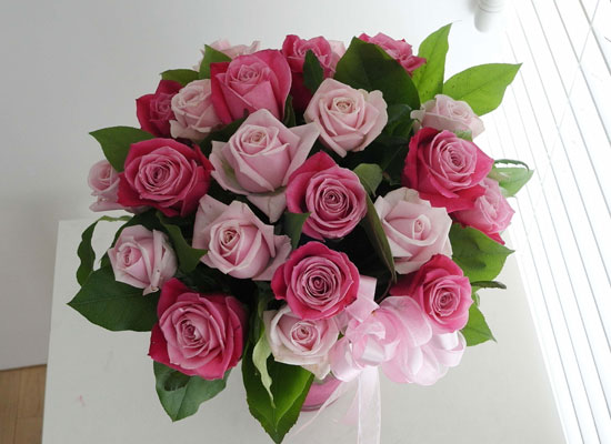 [] Made in 20 flowers -   ɹ