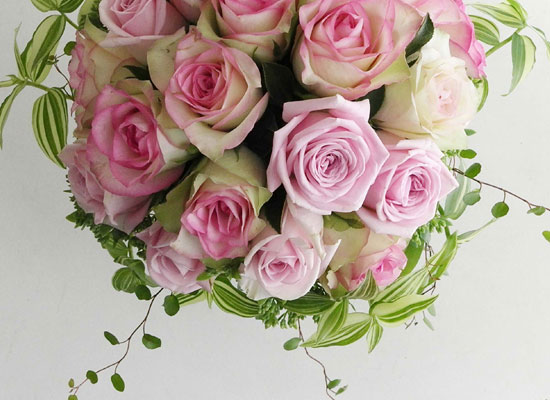 [] Made in 20 flowers - Crystalline  ɹ