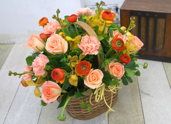 [] ŭ ܿ  - Happy winter orange  ɹ