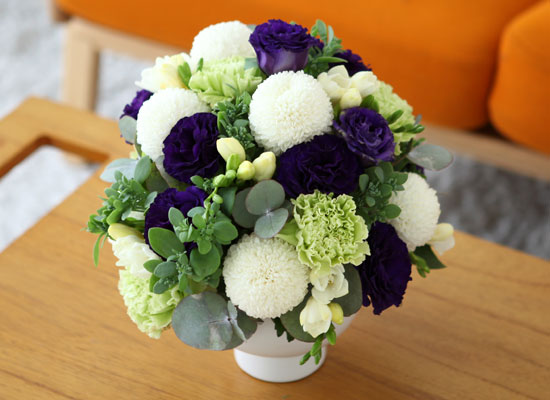 [] Elegant noble III - Pearl  ɹ