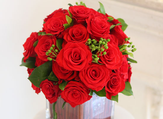 [] Beautiful colors - Rose velvet  ɹ