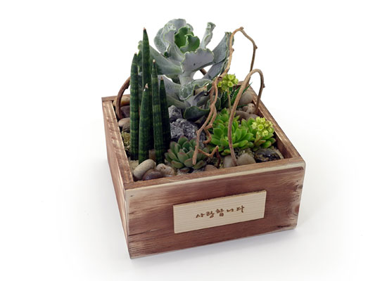 [] Office & Nature - Natural Garden(ȭǰ ٸȭ ü)  ɹ