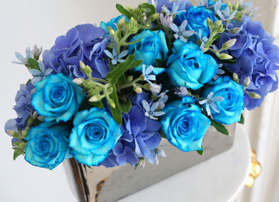 [] Beautiful colors - Silver Blue  ɹ