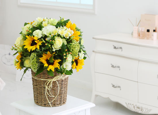 sunflower - عٶ ѹٱ  ɹ