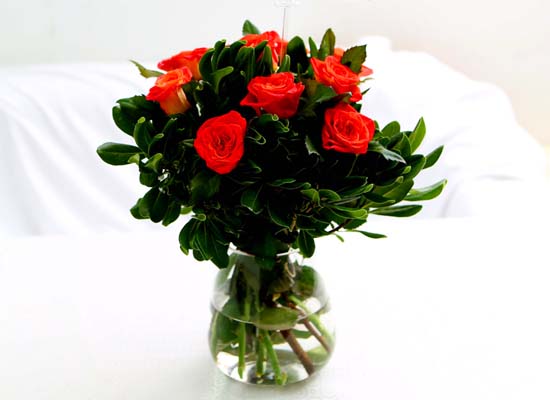 The Rose - [High quality] Only Orange rose (10)  ɹ