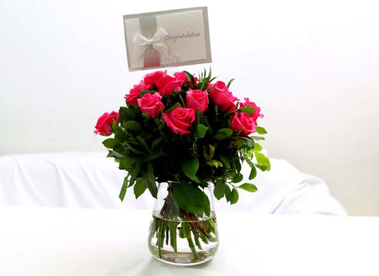 The Rose - [High quality] Only Pink rose (20)  ɹ
