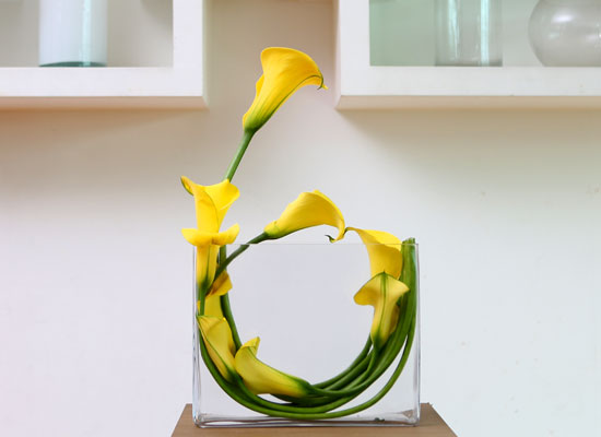 Flowers in harmony with container - Cala  ɹ