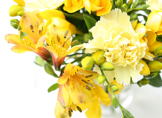 _  Yellow sun  ɹ