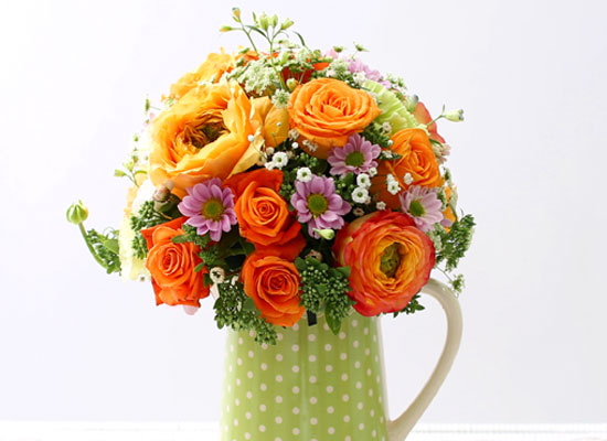 Rose Day - Orange Cercle  ɹ