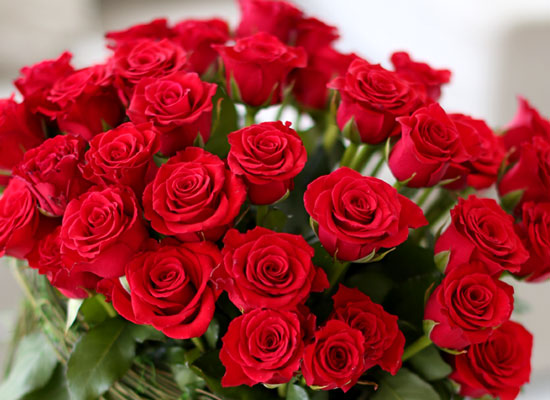  - Rose topiary  ɹ