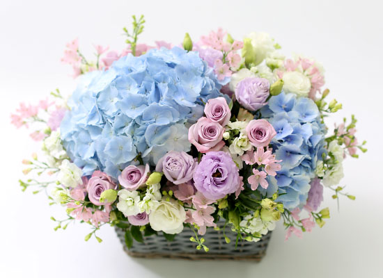프쉬케 어느날 - Charming blue 꽃집 꽃배달