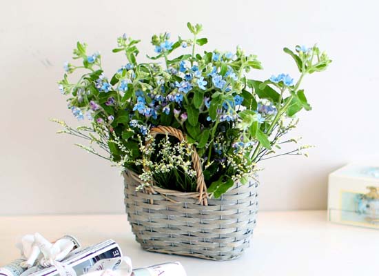   - Vintage Blue  ɹ