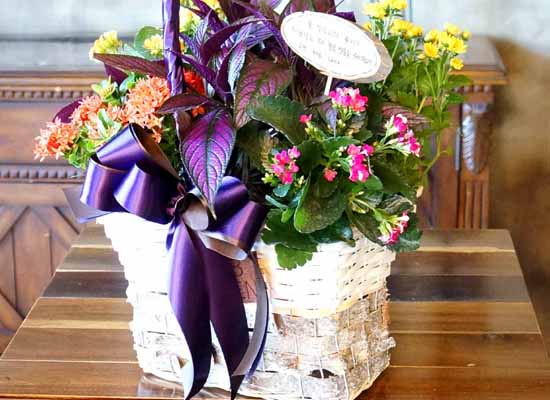 [ȭĹ]Garden gift basket -  It's always a good time!- ü  ɹ