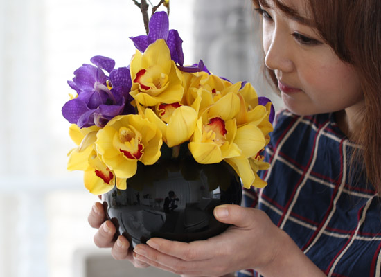 spring&sweet - yellow & puple  ɹ