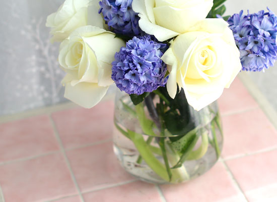 '()ȯ桯ô ƽý öȭ - I like the blue Hyacinth  ɹ